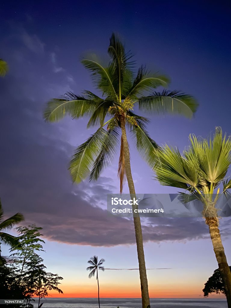 Purple sunset with ocean and palm trees After the sunsets in Kona, Hawaii a beautiful scene plays out. The mix of colors creates a pleasing g scene Kona Stock Photo