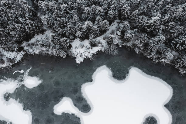 istock Frozen lake, Winter scene at lake, snow covered pine trees 1434474054
