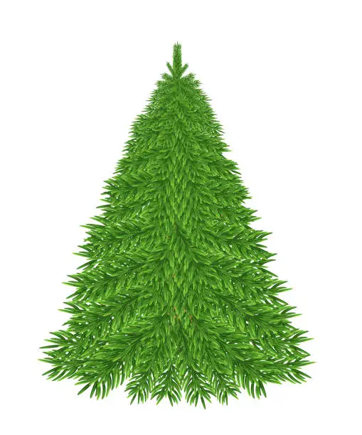 Vector illustration of Lush green forest Christmas tree in full frame, full length. On a transparent background, vector illustration in 10EPS format, no raster