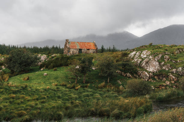 istock Connemara National Park, Galway, Ireland 1434480453