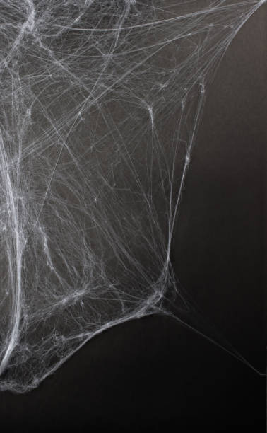 istock Spider web on a black background.  Background for holiday card, flyer or banner.  Halloween. 1434480715