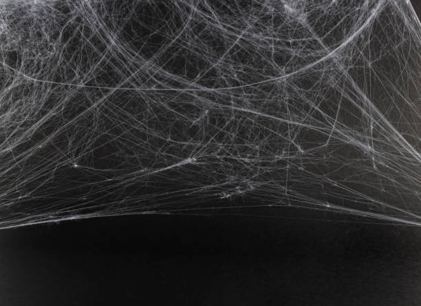 istock Spider web on a black background.  Background for holiday card, flyer or banner.  Halloween. 1434480783