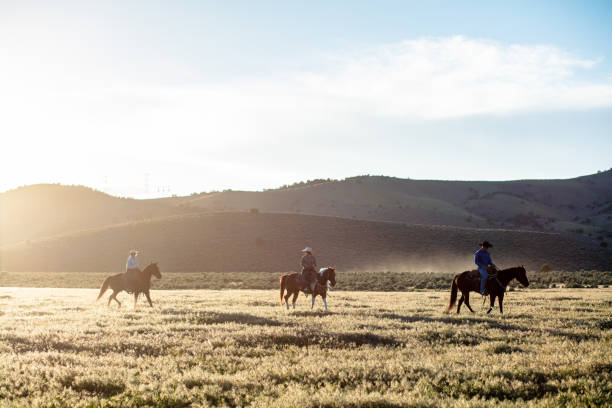 istock Wide Shot of Three Riders On a Field 1434481655