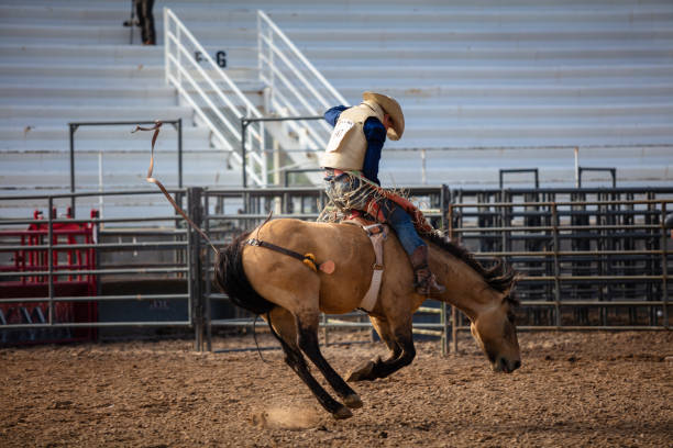 istock Horse Bucking Forward With Rodeo Rider On Top 1434481722