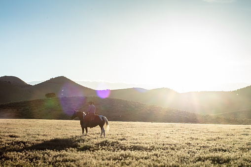 A wide shot of a sole cowboy with his horse on a rural field.