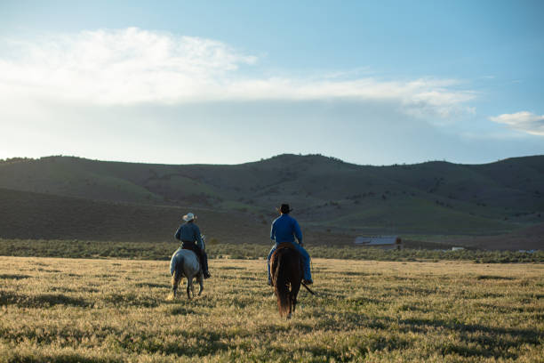 istock Two Horseback Riders Riding Away From Camera 1434482019