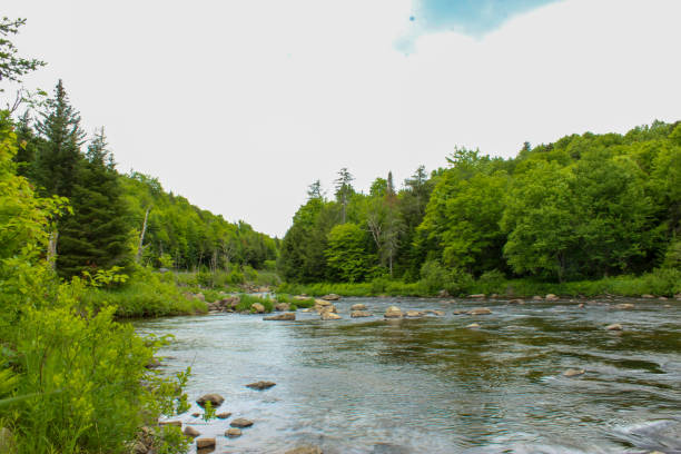 istock Lake Placid, NY 1434482125