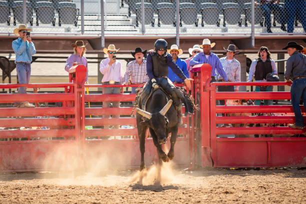 istock Bull Riding Inside Arena With Spectators Watching In The Background 1434482204