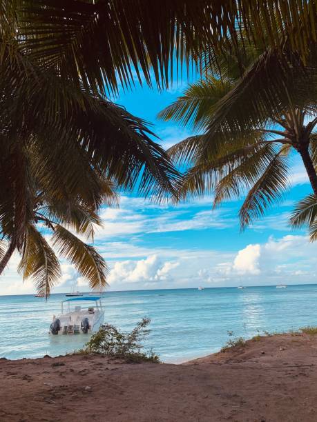 istock Beach view with coconut trees around and a white boat flowing near, a cloudy, blue sky background 1434484433