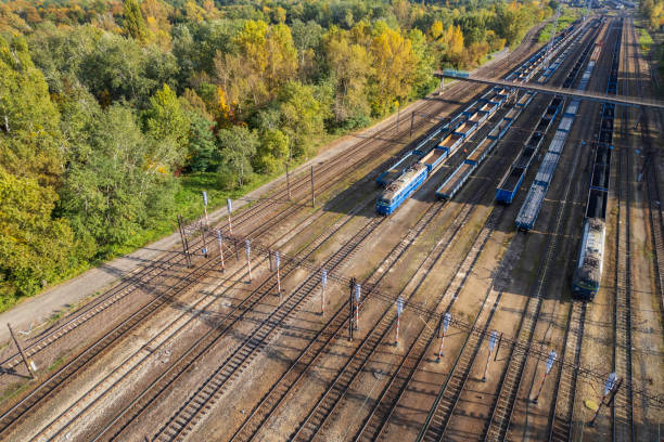 colorful cargo trains on the railroad siding