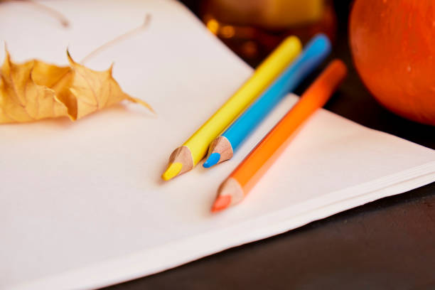 Aesthetic autumn layout among leaves and colored pencils. Create a blank album layout. Sustainable, eco-friendly lifestyle background. Halloween wish.