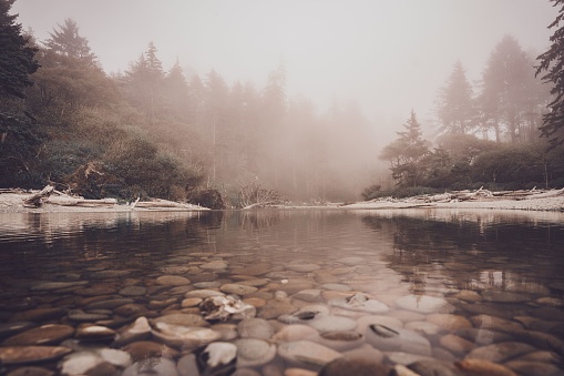 The pebbles under the surface of shallow lake in Olympic national park on foggy day in Washington State