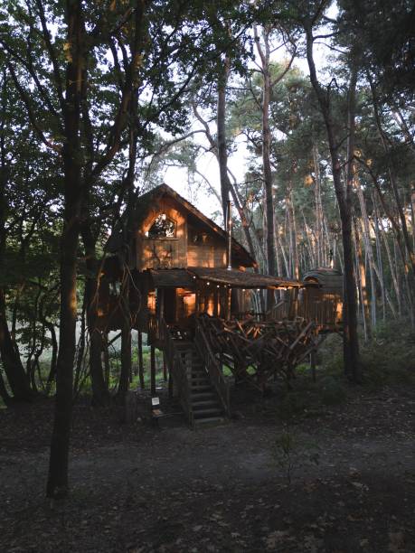 istock Vertical shot of cute cozy treehouse in the forest 1434494974