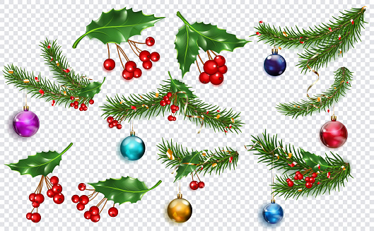 Set of Christmas decoration: New Year pine branches, colored balls, holly leaves and red berries, isolated on transparent background