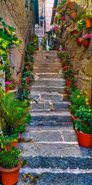 Alley of the dinard flowered