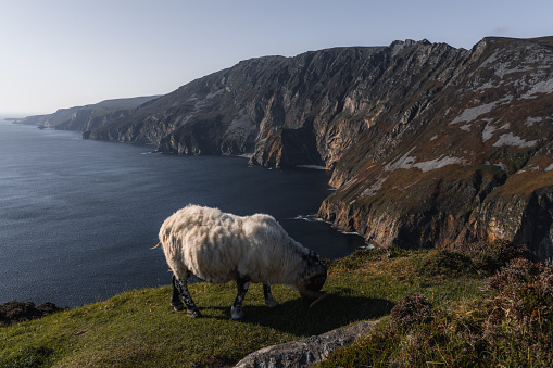 Slieve League Cliffs, Donegal, Ireland