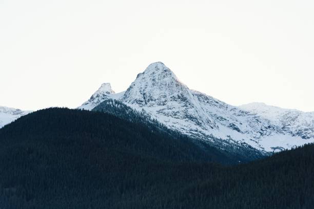Winter at North Cascades, Washington