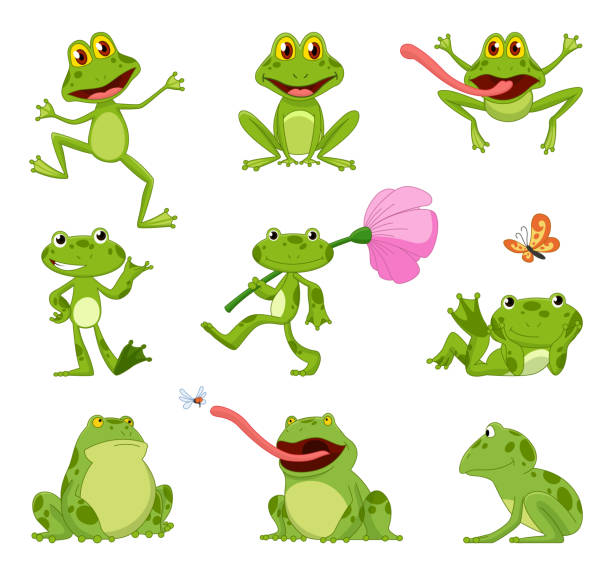 재미있는 만화 개구리 컬렉션 작은 양서류 캐릭터가 앉아서 흰색 배경에 뛰어 넘습니다 사랑스러운 개구리가 웃으며 혀로 날아 다니는 것을  잡습니다 개구리에 대한 스톡 벡터 아트 및 기타 이미지 - Istock