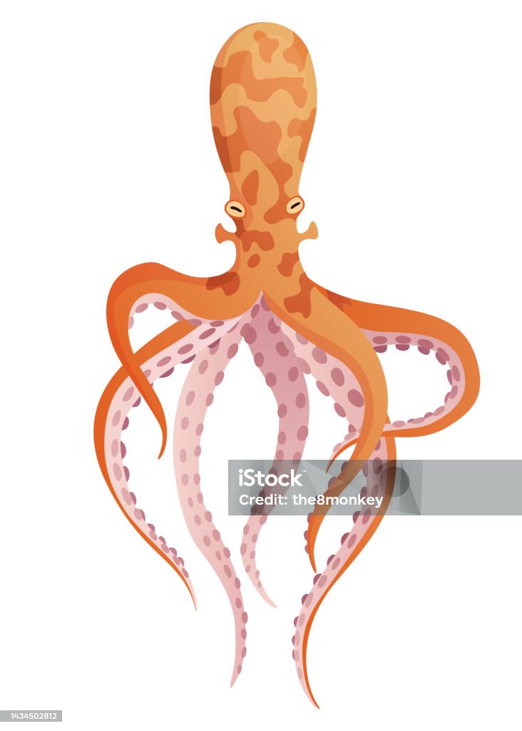 Ilustración de Pulpo De Dibujos Animados Personaje Plano Con Ventosas En Las Manos Icono De Fauna Acuática Ilustración Animal Para Anuncio De Zoológico Concepto De Naturaleza Lindo Pulpo De Color Animal Marino Ilustración de Pulpo De Dibujos Animados Personaje Plano Con Ventosas En Las Manos Icono De Fauna Acuática Ilustración Animal Para Anuncio De Zoológico Concepto De Naturaleza Lindo Pulpo De Color Animal Marino