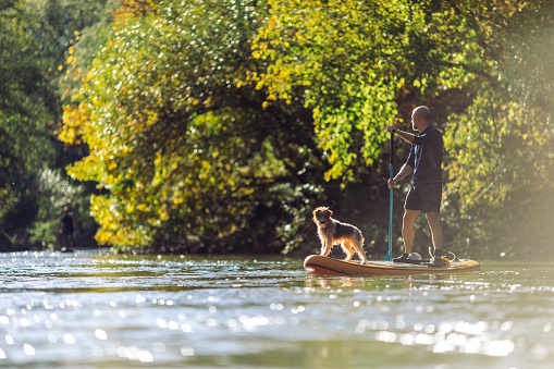 Man exploring river with his dog on SUP paddleboard