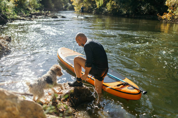 istock Man exploring river with his dog on SUP paddleboard 1434503457