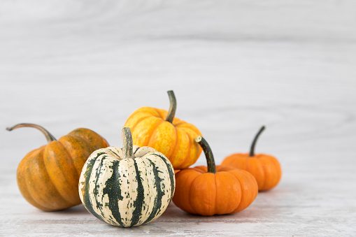 Autumnal colorful gourds on white wooden background