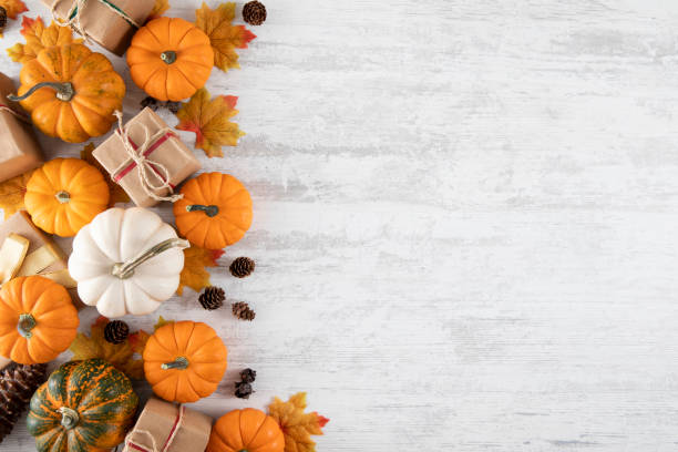 Happy Thanksgiving and Autumn Backgrounds stock photo