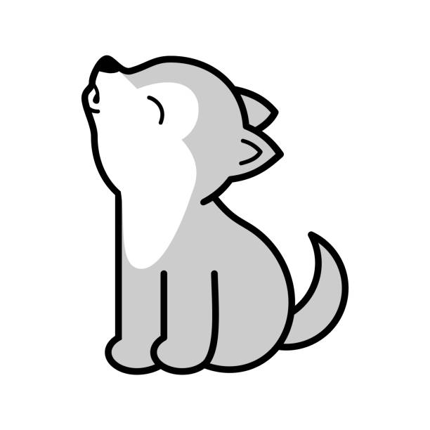 ilustrações, clipart, desenhos animados e ícones de um lobo bonitinho uivando para a lua. lobo bebê de desenho animado com contorno. - dog barking humor howling
