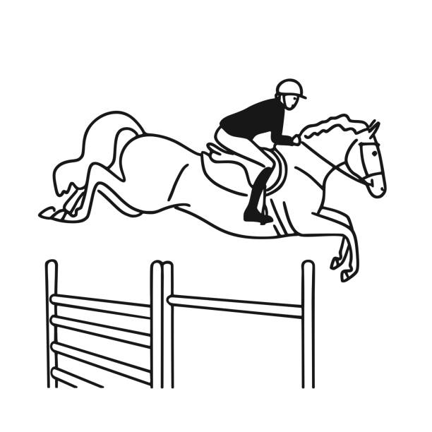 illustrations, cliparts, dessins animés et icônes de cavalier de doxle simple noir et blanc sur cheval dans l’arène pour la compétition de saut d’obstacles - hurdling hurdle vector silhouette