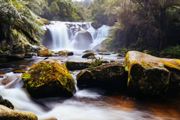 istock Halls Falls in Pyengana Tasmania Australia 1434514636