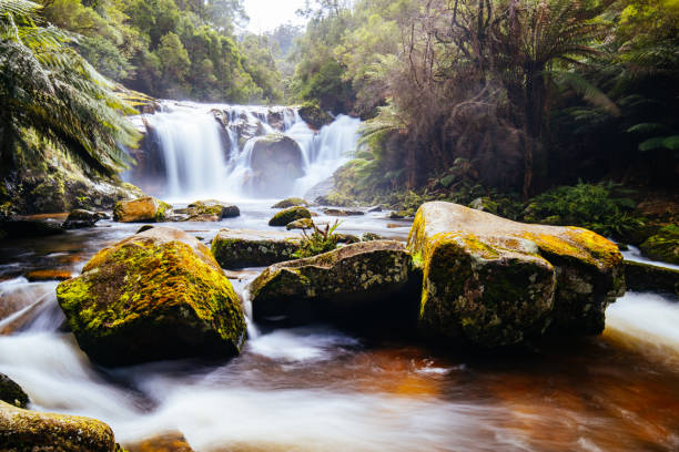 istock Halls Falls in Pyengana Tasmania Australia 1434514655