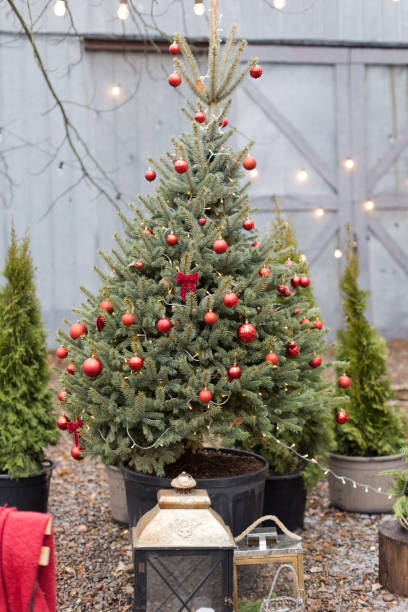 istock Christmas tree with red decorations outdoors 1434515534