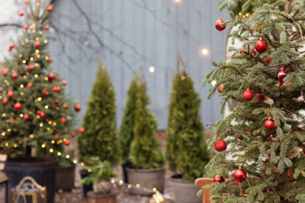 istock Christmas tree with red decorations outdoors 1434515554