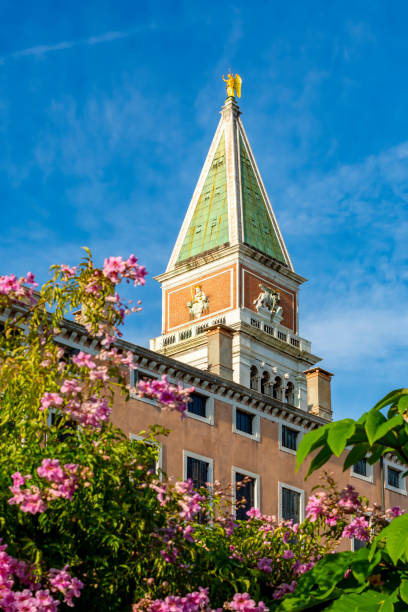 istock St Mark's Campanile in Venice, Italy 1434517932