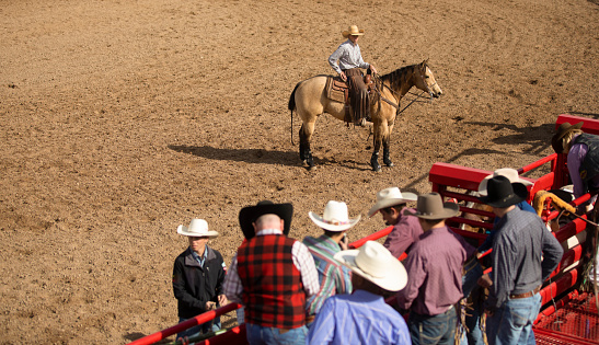 A group of rodeo participants at the bucking chute making preparations