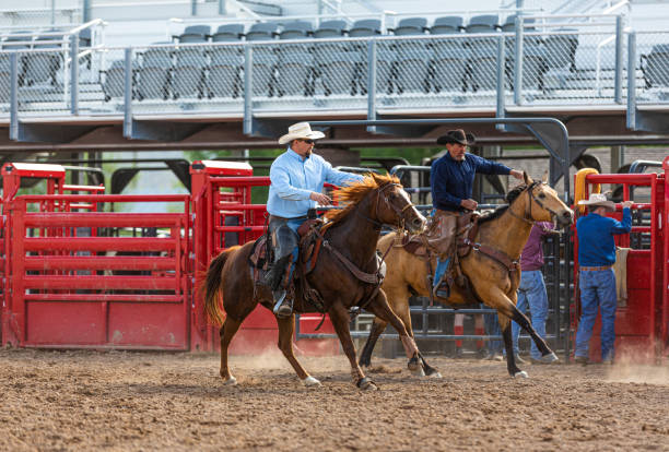 istock Two cowboys chasing a horse at a bucking bronco rodeo 1434518709