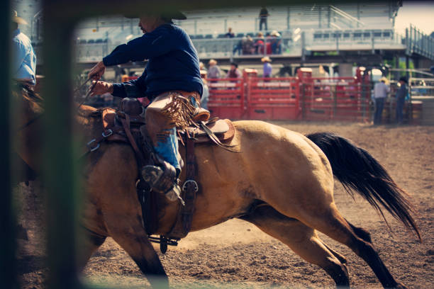 istock Chasing a horse at a bucking bronco rodeo 1434518721