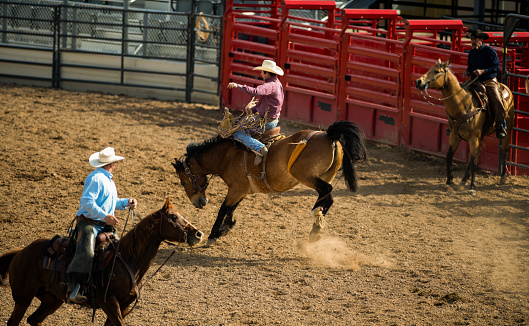 Western horse and rider competing in pole bending and barrel racing competition.