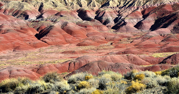 The Painted Desert in Arizona's Petrified Forest National Park.
