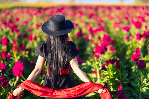Woman walking with hat among lion's paw flower fields