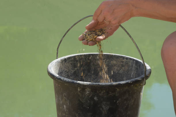 istock the sowing of seed in agriculture 1434521287