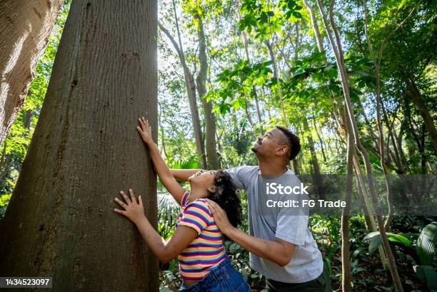 Father and daughter looking and playing in the tree