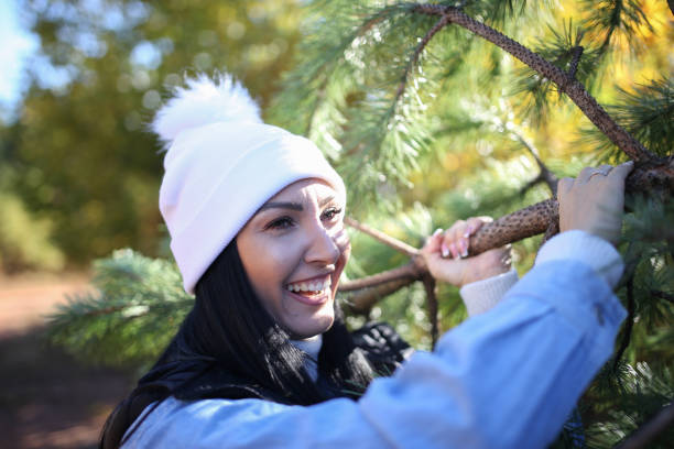 Women preparing for Christmas. Bringing Christmas tree to the cottage.