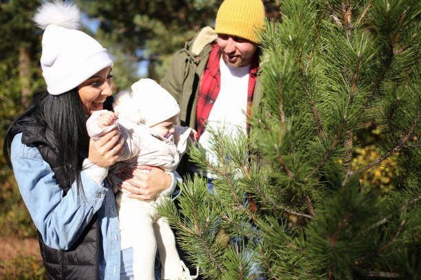 istock Young parents looking for Christmas tree stock photo 1434525253