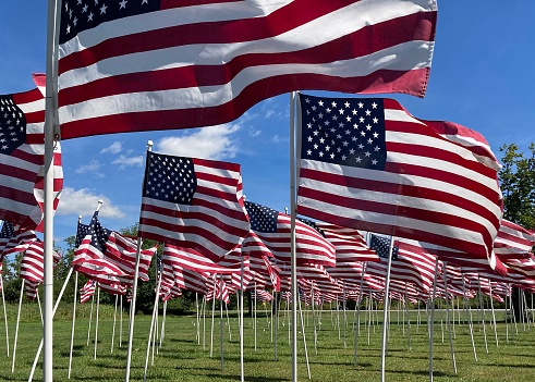 A field of flags wave in the breeze as a tribute to heroes in Warwick, NY.