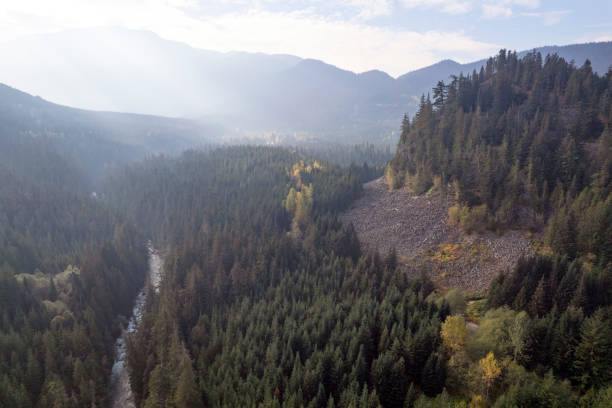 istock Aerial view of a vast forest 1434529395