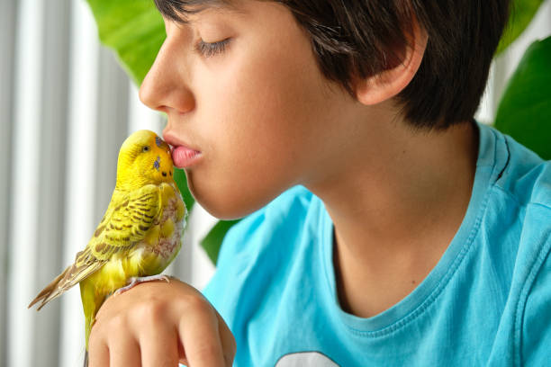 istock boy kissing his green parakeet 1434529624