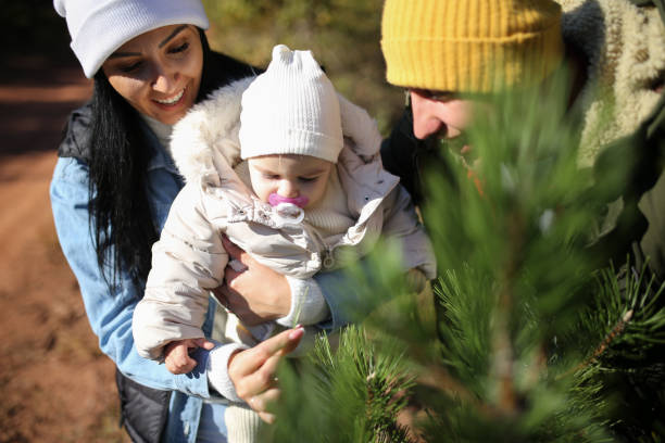 istock This will be our Christmas tree stock photo 1434530710