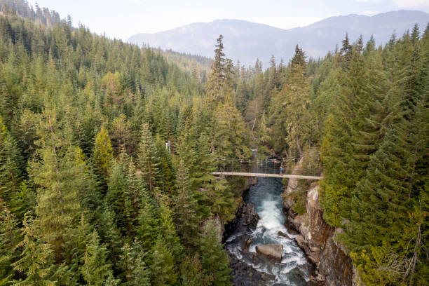 istock Hiker living a sustainable lifestyle 1434531244