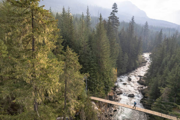 istock Hiker living a sustainable lifestyle 1434531256